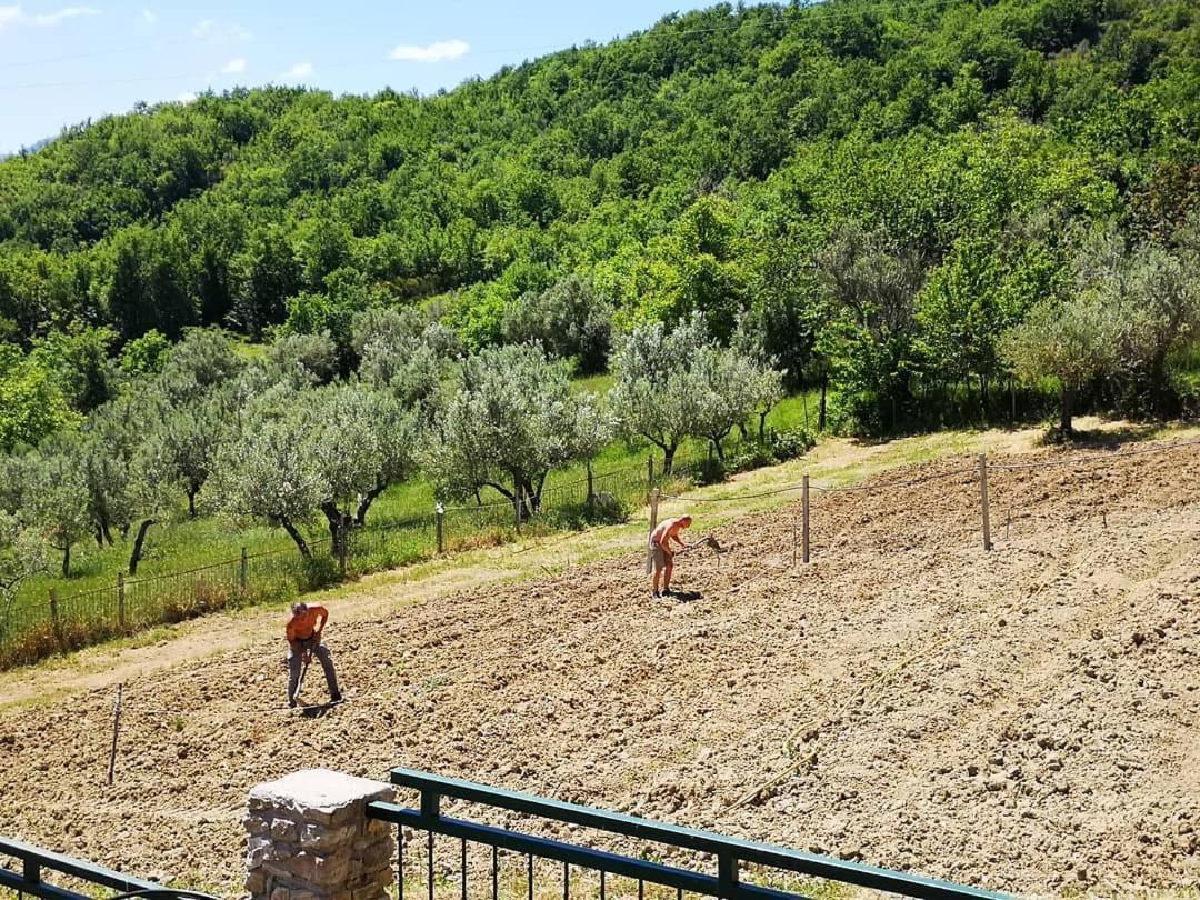 Agriturismo Olimpo Villa Santa Maria  Exteriér fotografie
