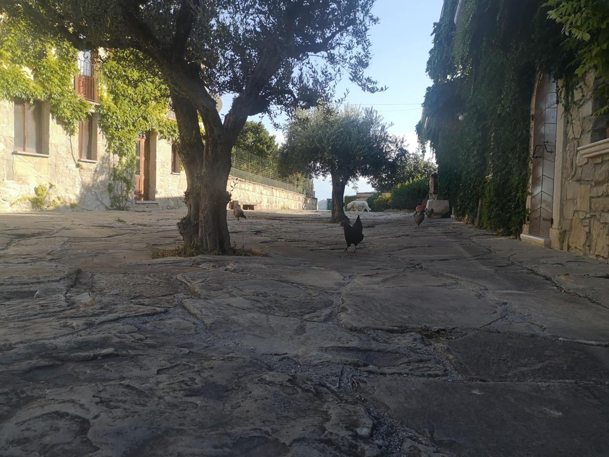 Agriturismo Olimpo Villa Santa Maria  Exteriér fotografie